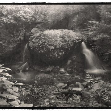 PAST EXHIBITION: Portrait of Nature Vol.2 – Myriads of Gods – Nobuyuki Kobayashi Photography Exhibition