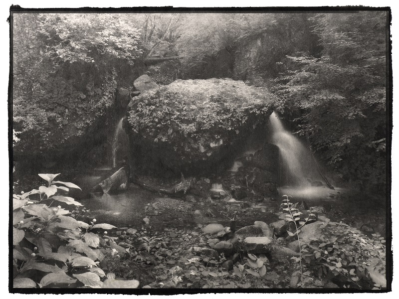 PAST EXHIBITION: Portrait of Nature Vol.2 – Myriads of Gods – Nobuyuki Kobayashi Photography Exhibition